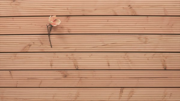 Holz Terrassendielen Douglasie, grob genutet, 40 x 145 bis 5000 mm für 8,50 €/lfm
