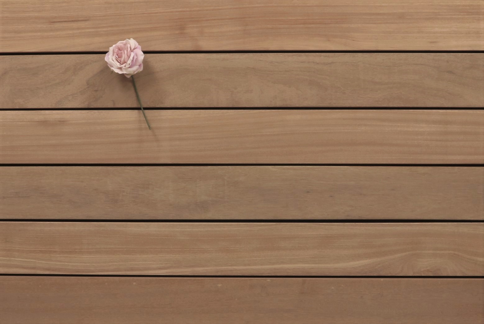 Terrassenholz Bangkirai, glatt, 21 x 145 bis 5490 mm, Premium (KD) für 10,30 €/lfm